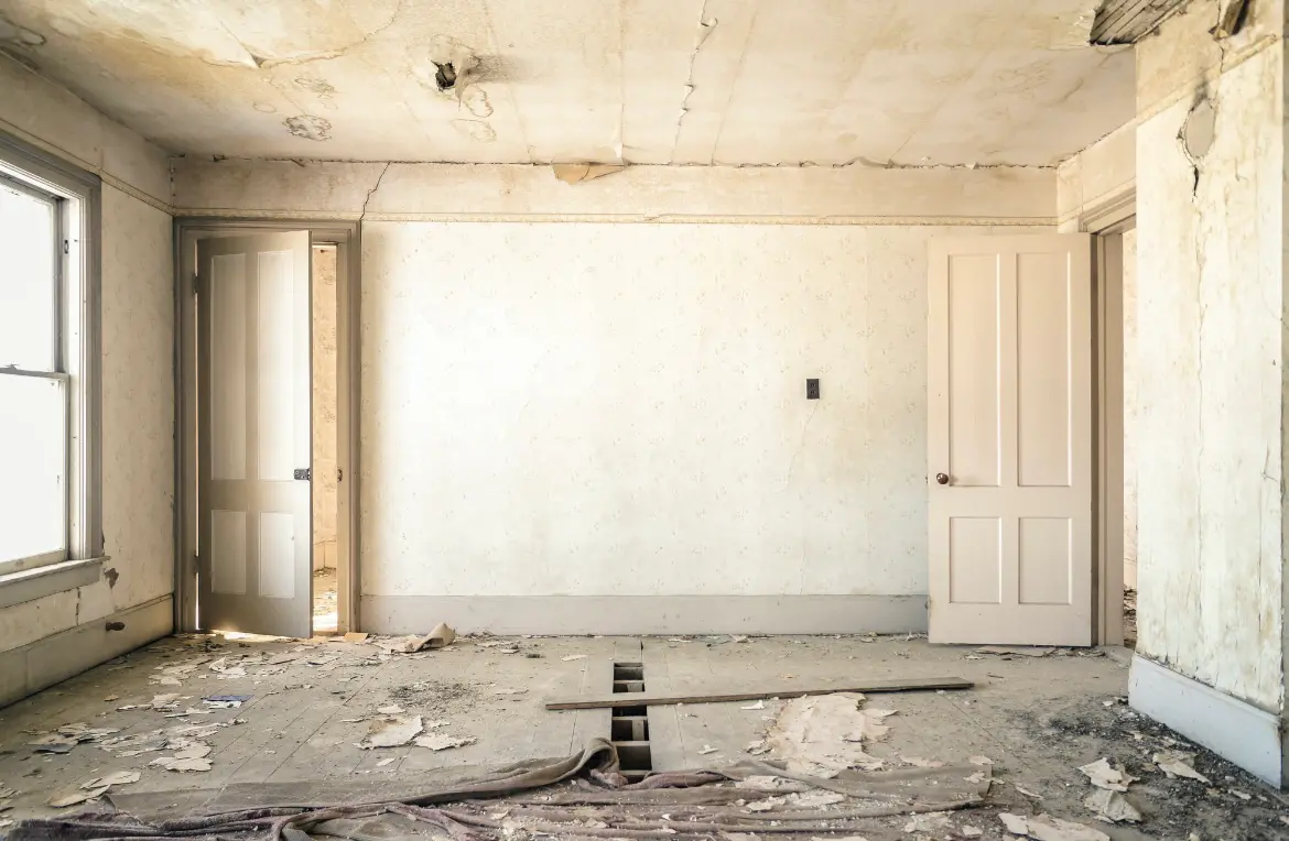 Waste disposal crew managing a cleanout project in Hutto